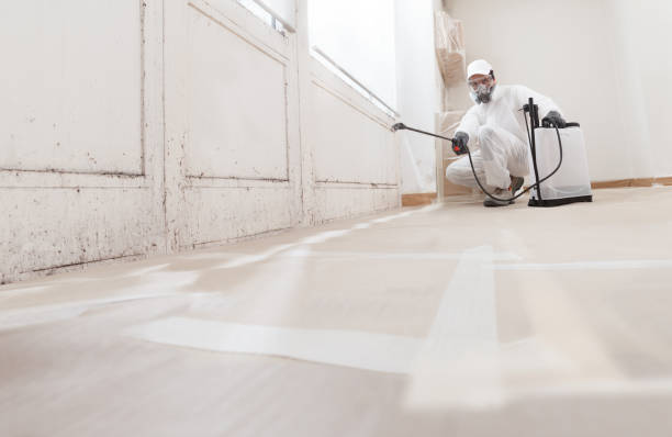 24/7 Emergency Black Mold Remediation experts in Troutdale, OR