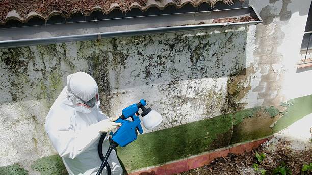Top rated local Black Mold Remediation specialists in Troutdale, OR
